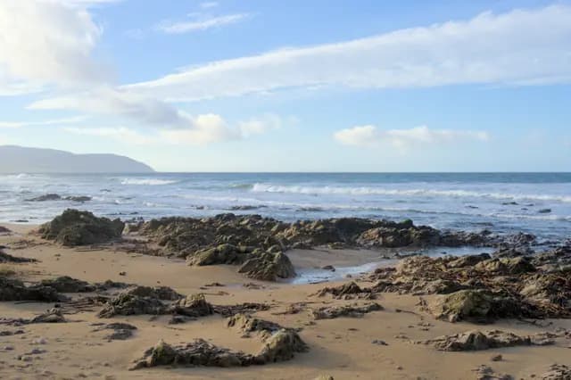 Westport surf photo 1